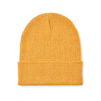 BEANIX
